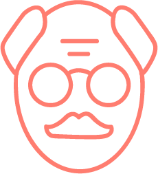 Icono un hombre mayor