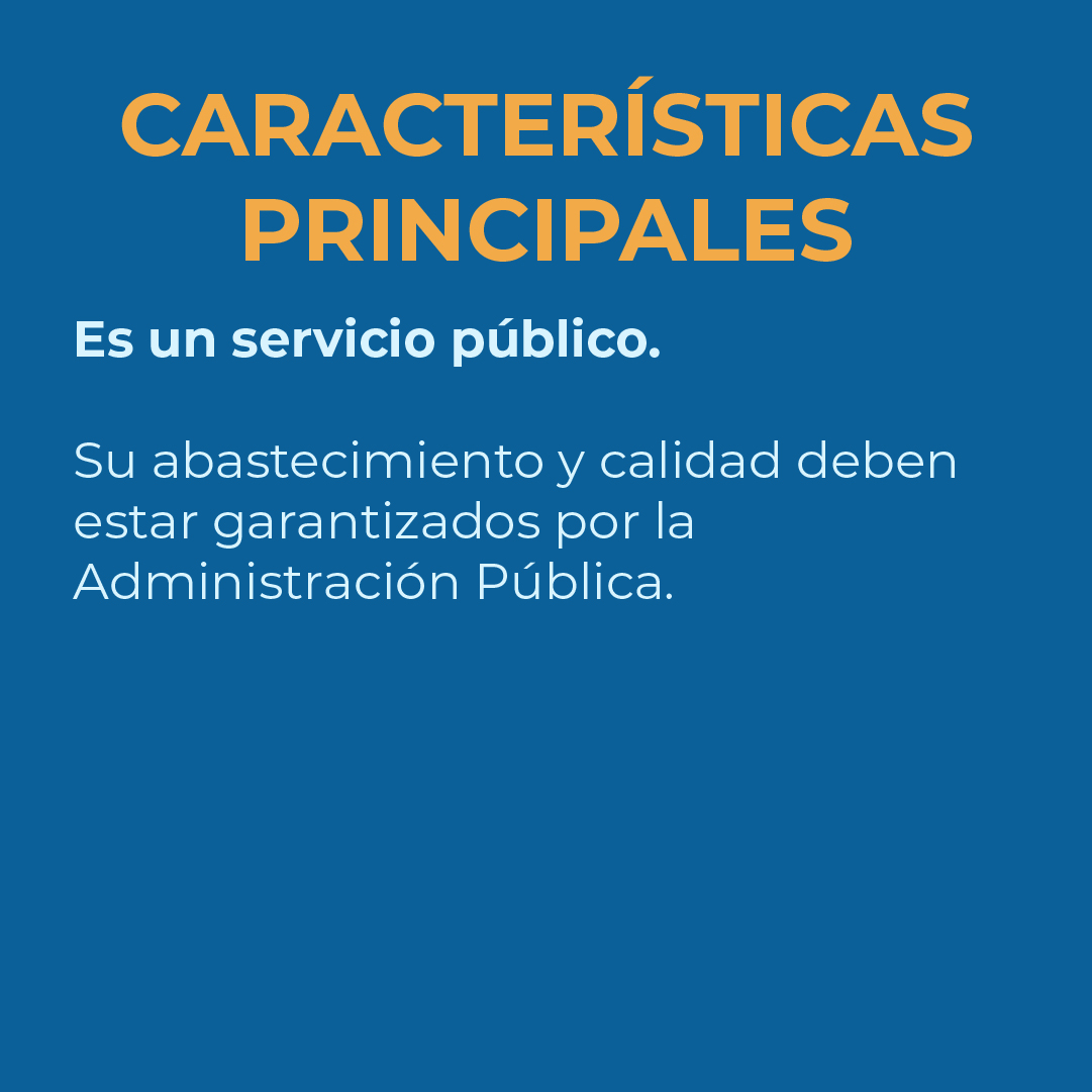 cartel características principales