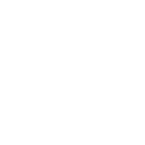 icono de una mano y una pesa